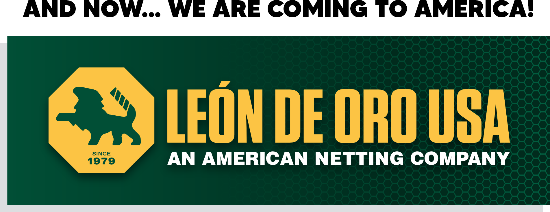 stair net, Leon De Oro, 8888332634